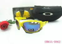 acheter sunglasses oakley 2013 lentille beau oakley good-9046